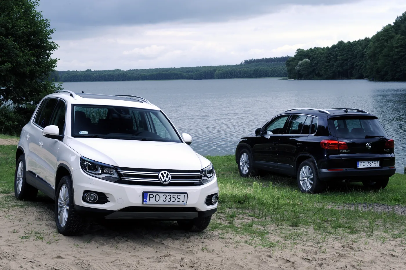 8343487-volkswagen-tiguan.jpg