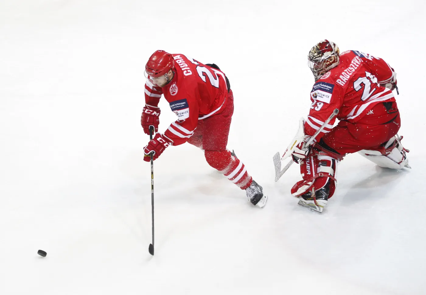 Polscy hokeiści
