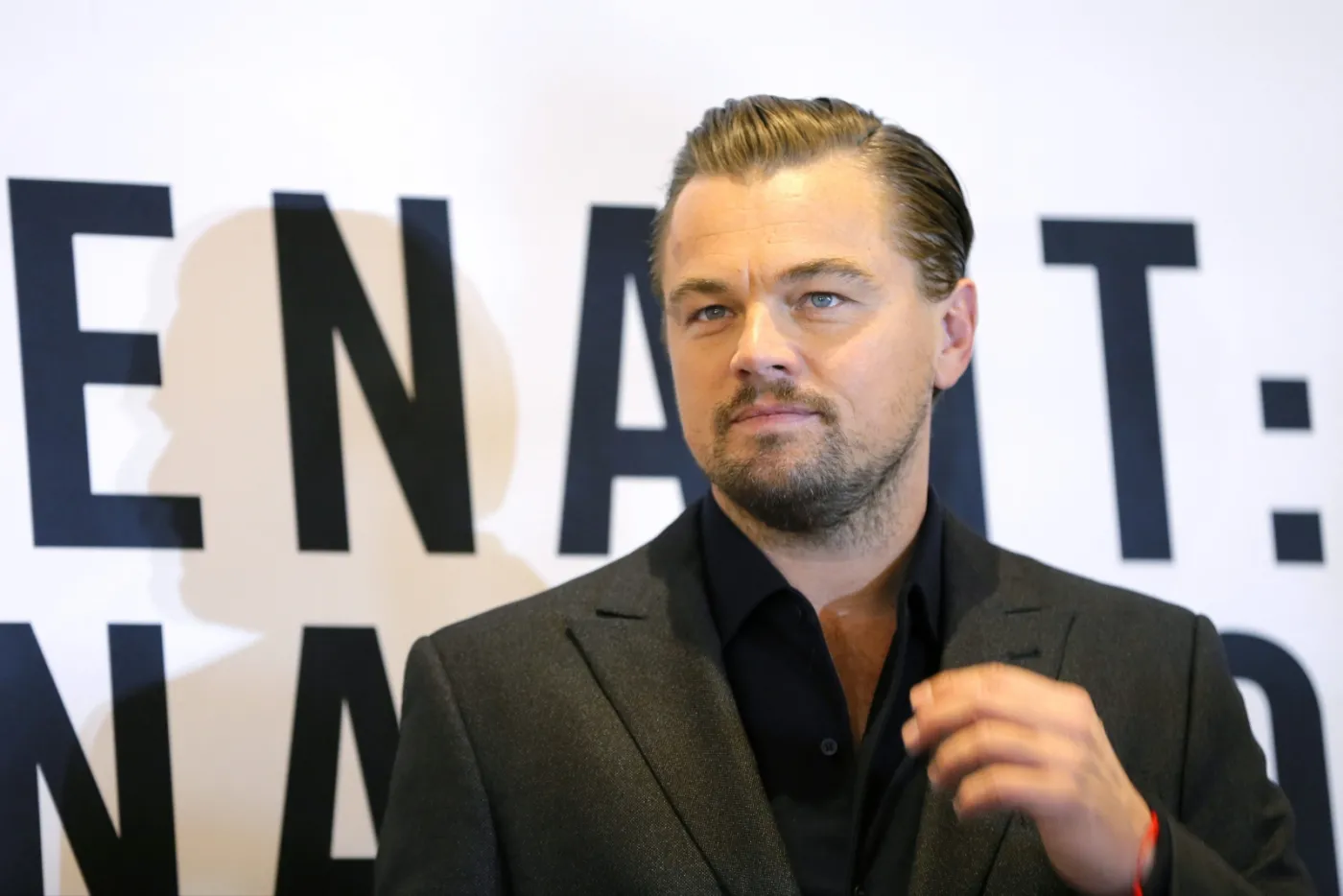 8678294-leonardo-dicaprio.jpg