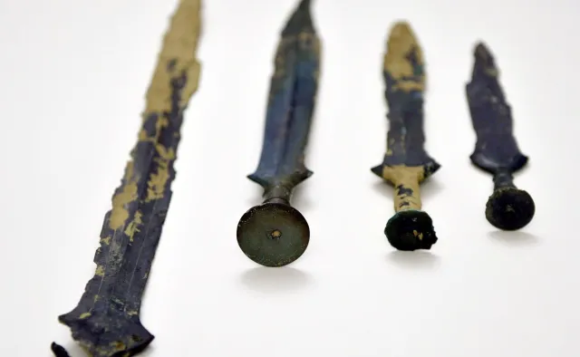 Poszli na grzyby, znaleźli skarb sprzed 3 tysięcy lat