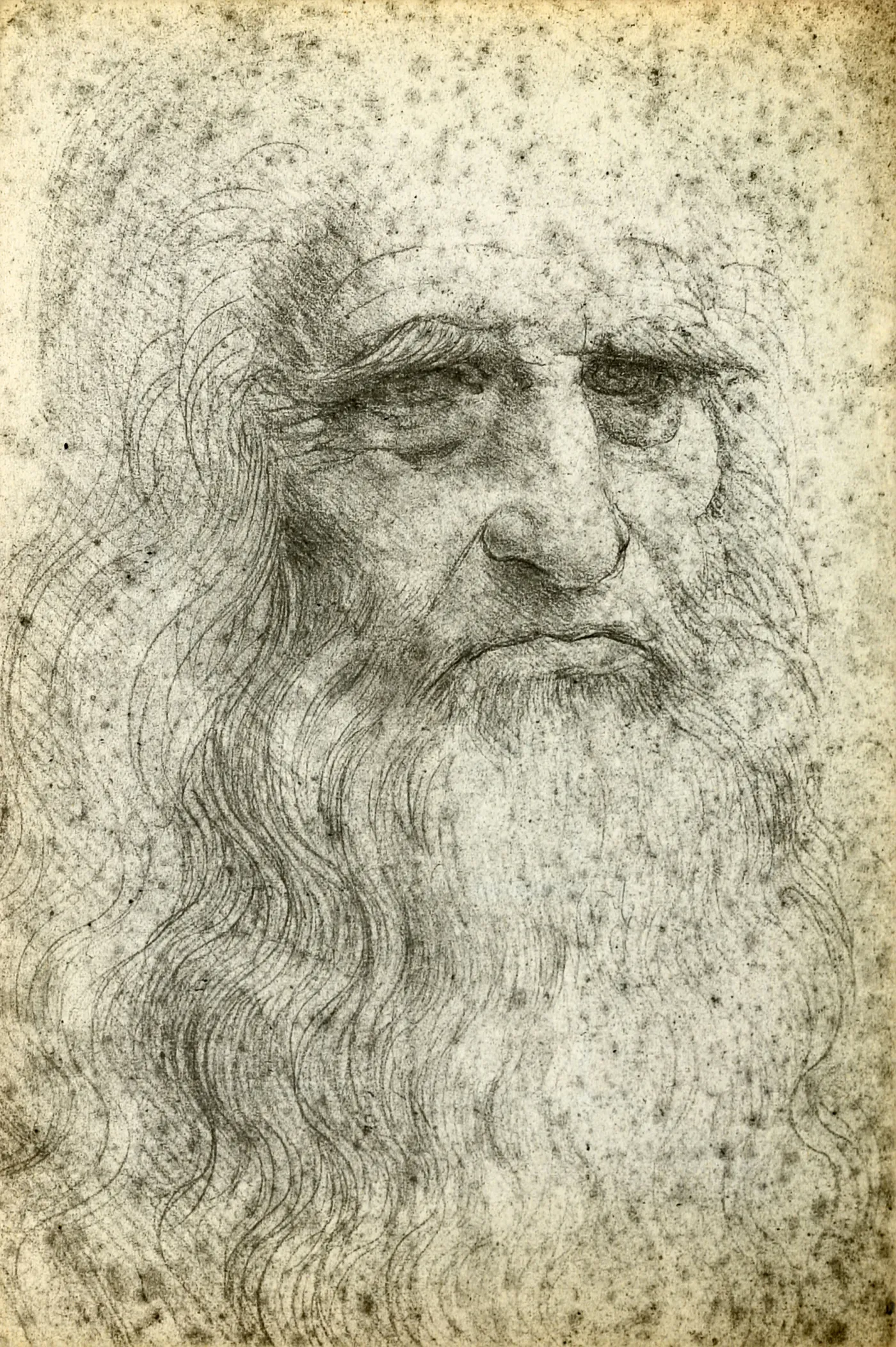 9119900-leonardo-da-vinci.jpg