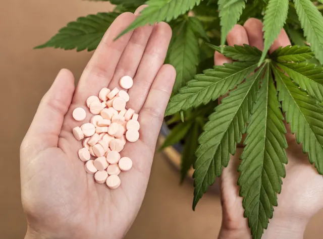 Zalety marihuany leczniczej. Na jakie schorzenia pomaga?