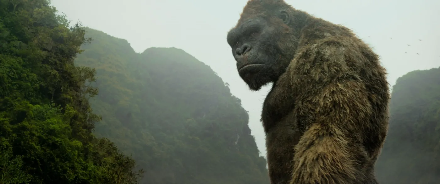 KONG-TRL1-002-VFX