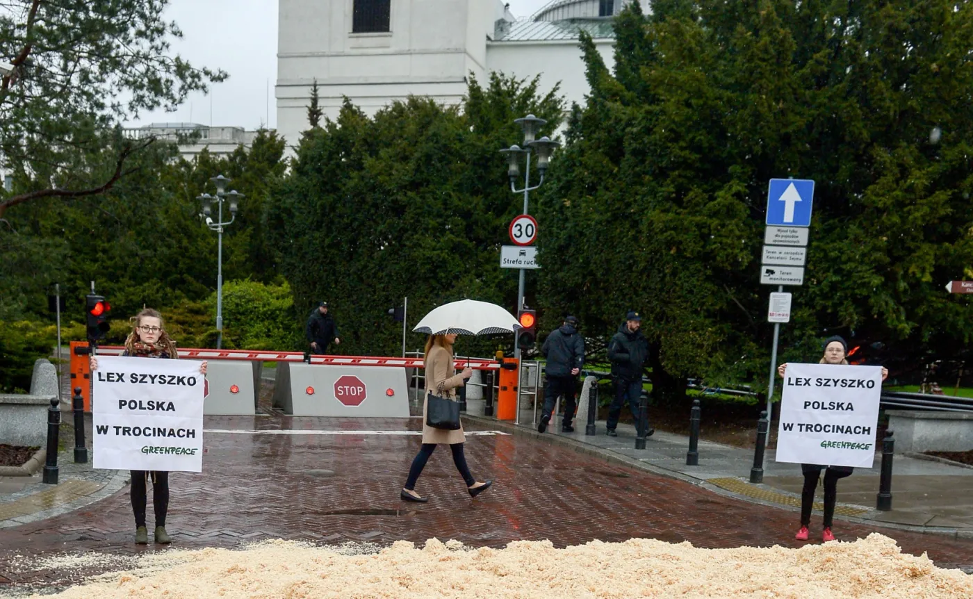 Aktywiści Greenpeace rozsypali trociny przed Sejmem. To protest przeciw ustawie o wycince drzew [FOTO]