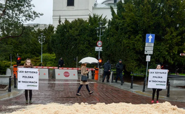 Aktywiści Greenpeace rozsypali trociny przed Sejmem. To protest przeciw ustawie o wycince drzew [FOTO]