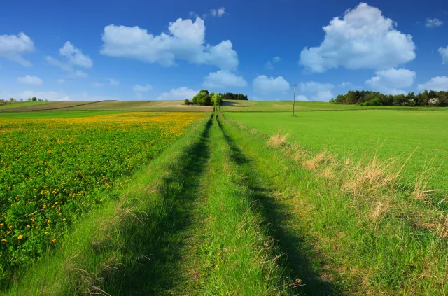 Ziemia rolna przestała drożeć. Hektar o ok. 1,4 tys. zł tańszy niż przed rokiem