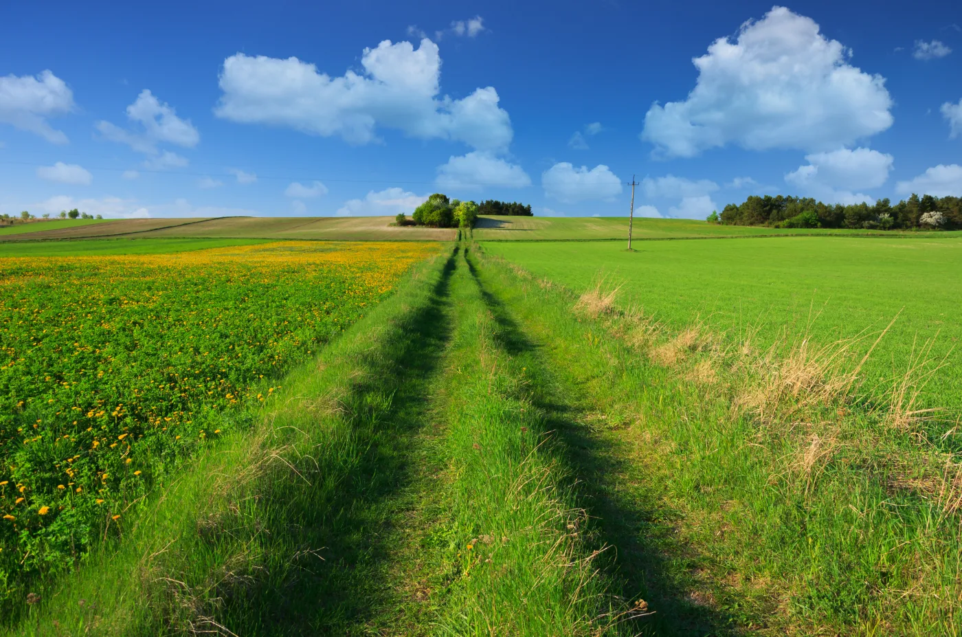 Ziemia na wagę złota. Kiedy i w co inwestować? PRAKTYCZNY PORADNIK