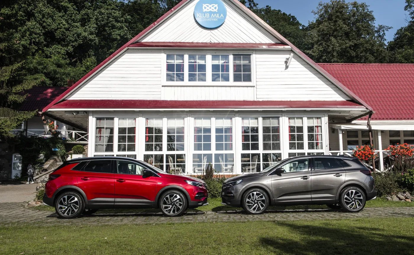 10323236-opel-grandland-x.jpg