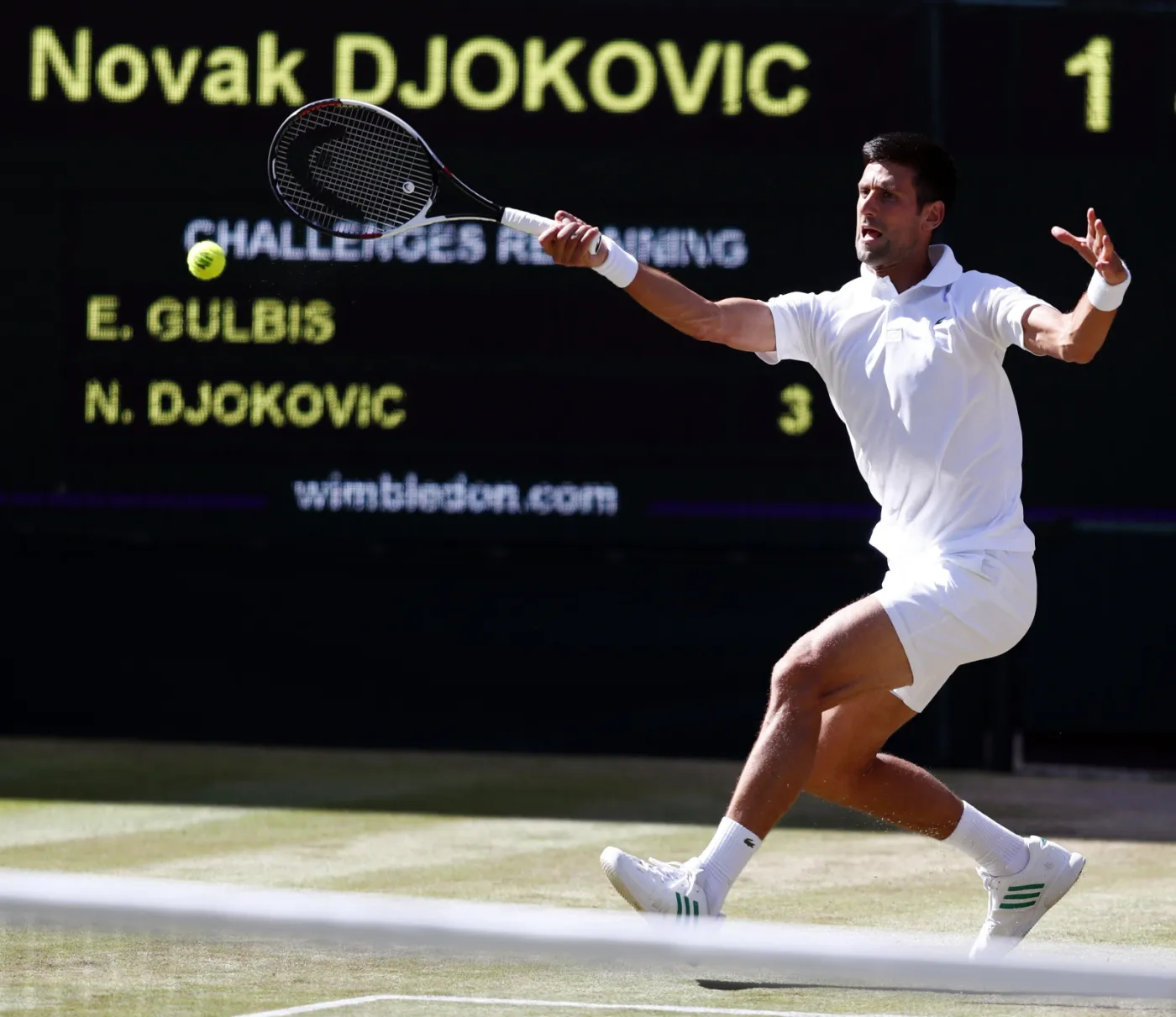 Novak Djokovic