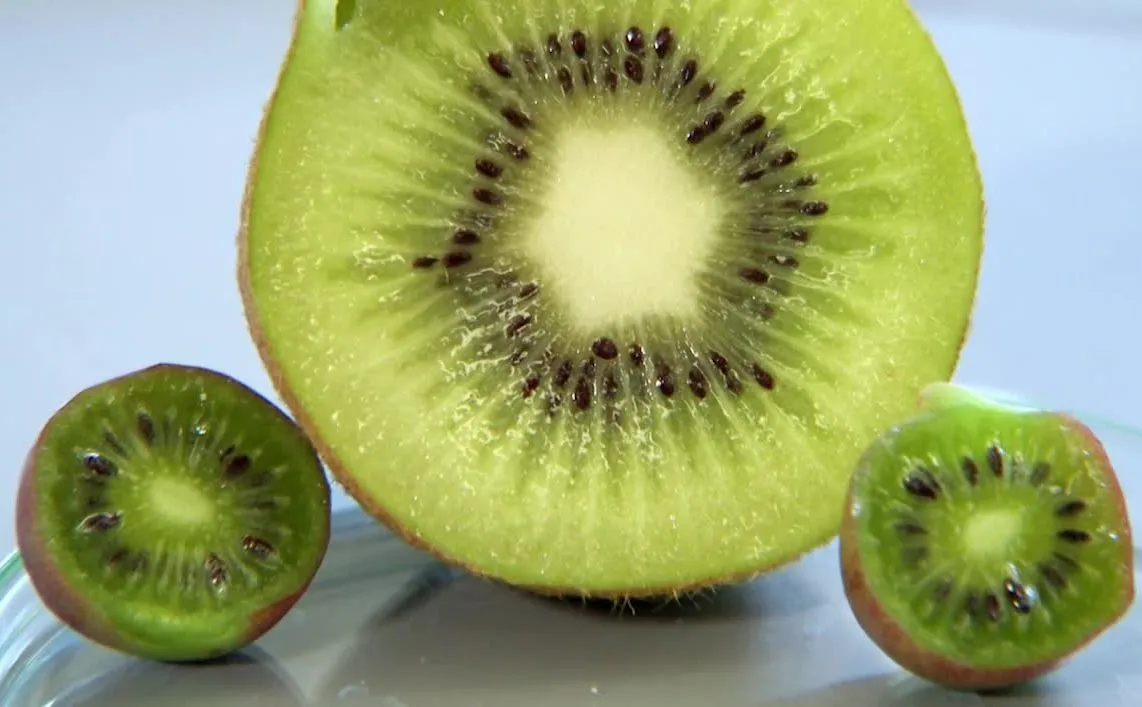 Minikiwi i kiwi