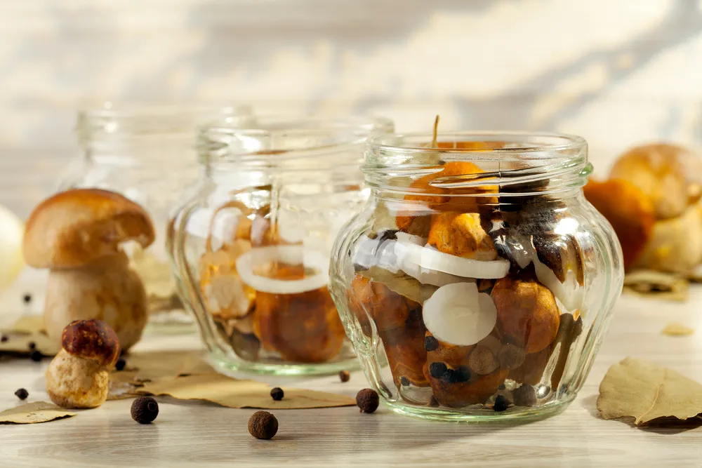 Zatrucia grzybami leśnymi – jak je rozpoznać i reagować?