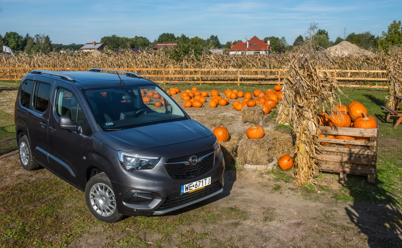 11594383-opel-combo-life.jpg