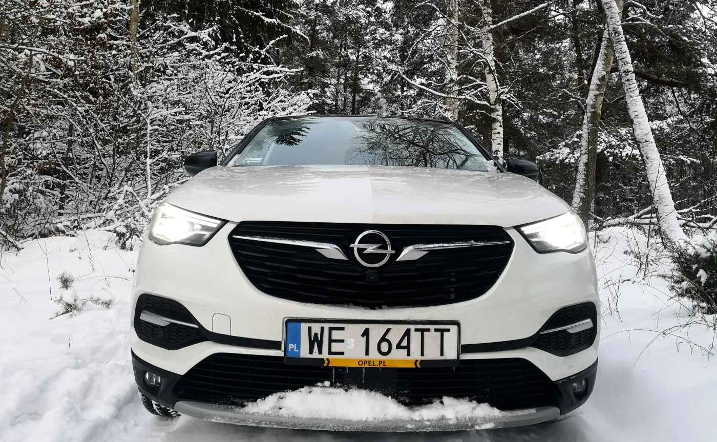 12036548-opel-grandland-x.jpg