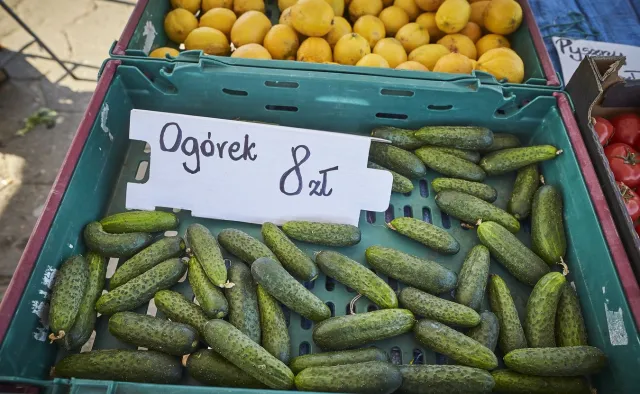 Ardanowski o suszy: Sytuacja jest poważna, ale żywności na pewno nie zabraknie