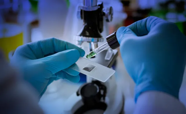 "Koń trojański" podstępem zaatakuje nowotwór. Badania polskich naukowców