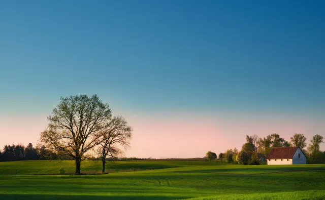 Ptaki pod ochroną znalezione martwe na polu. Ktoś je otruł?