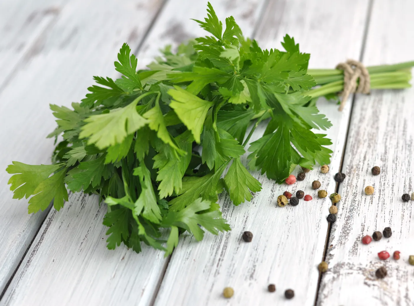 pietruszka zioła