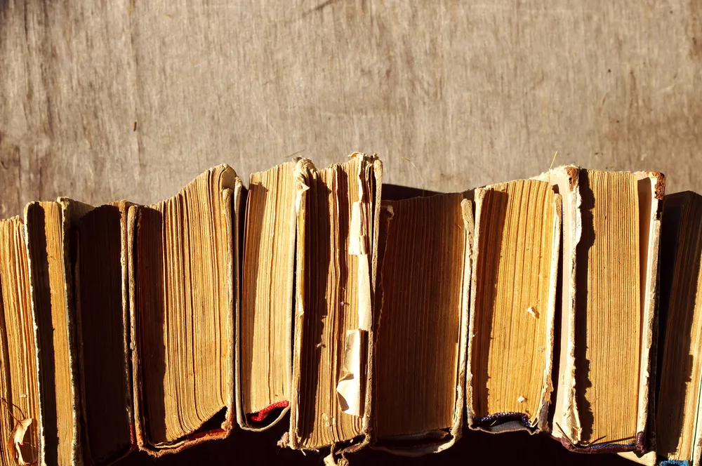 Rękopis "Ani z Zielonego Wzgórza" będzie dostępny online