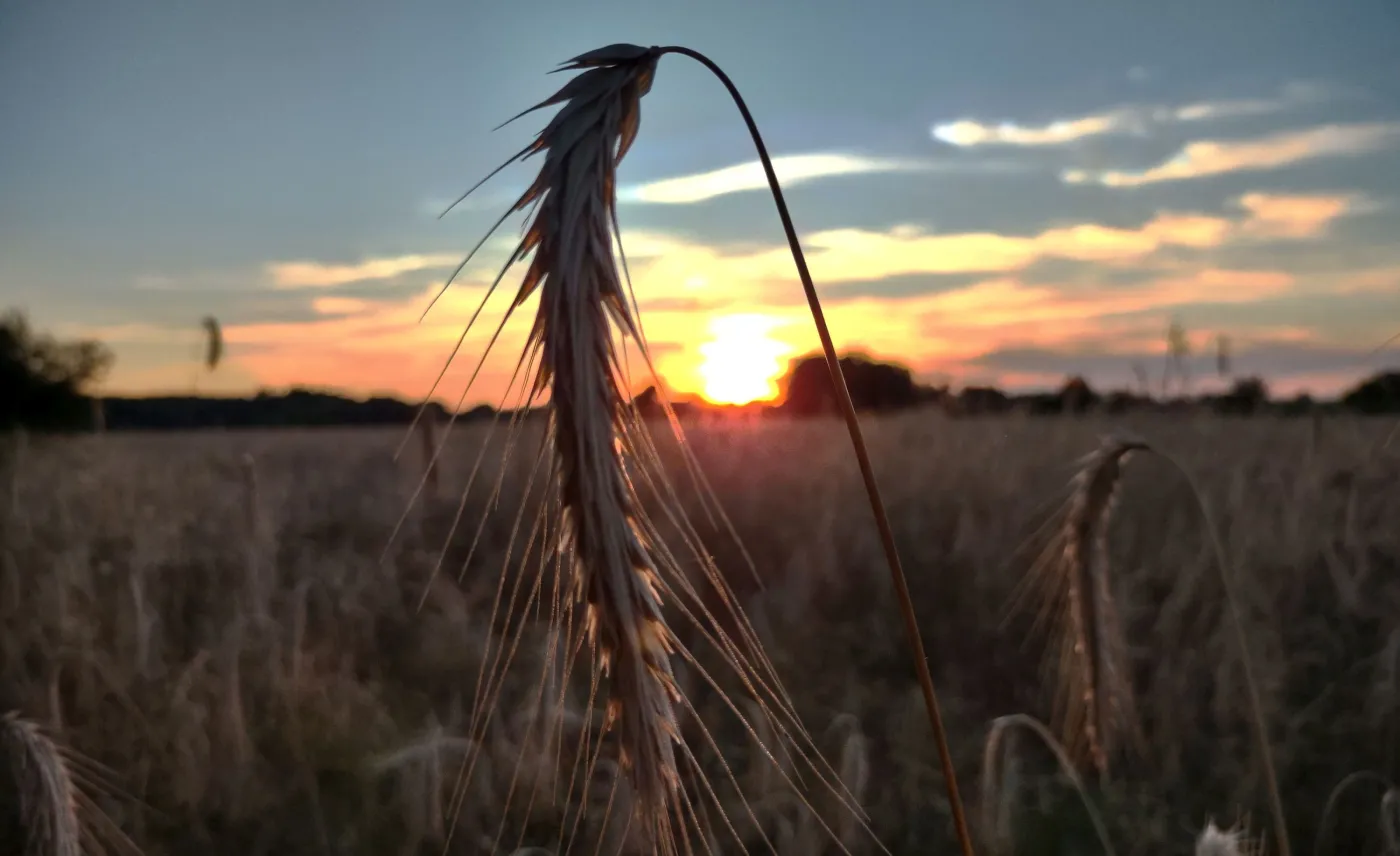 Zdjęcie wykonane telefonem Motorola Moto G 5G Plus