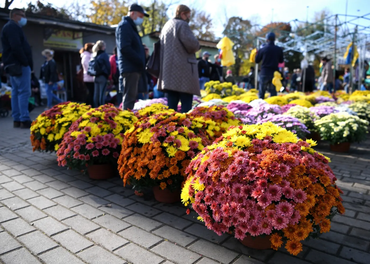 Krakowianie wspierają handlarzy kwiatów i zniczy