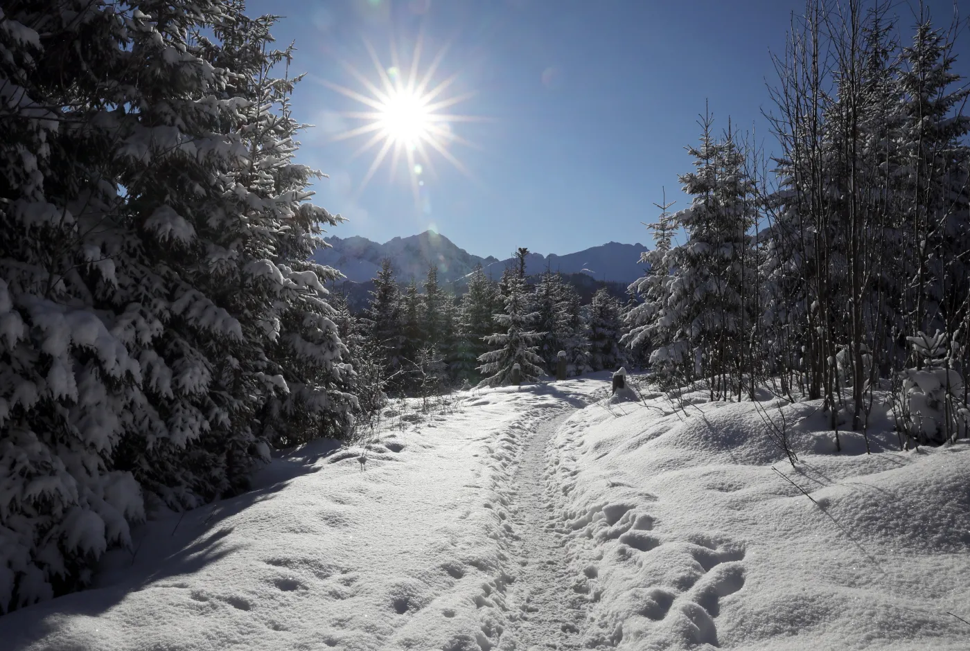 IMiGW ostrzega przed zawiejami i gołoledzią