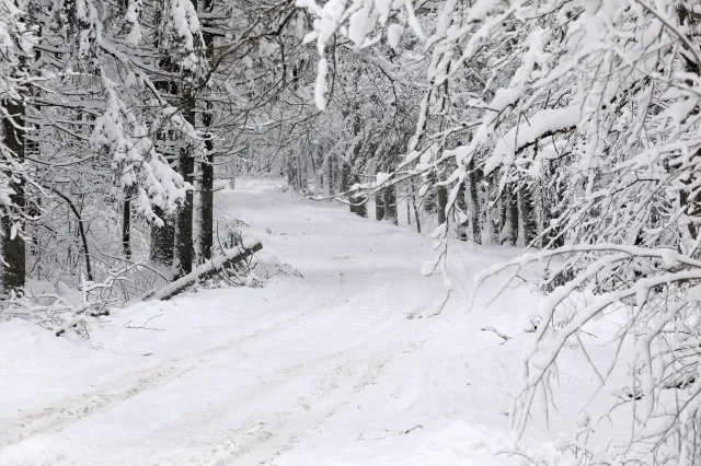 Mróz i śnieżyce w całej Polsce [PROGNOZA POGODY]