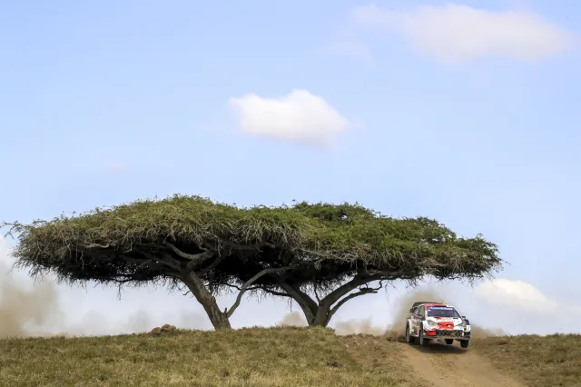 Sebastian Ogier najlepszy w Rajdzie Safari. Zasada miał pecha