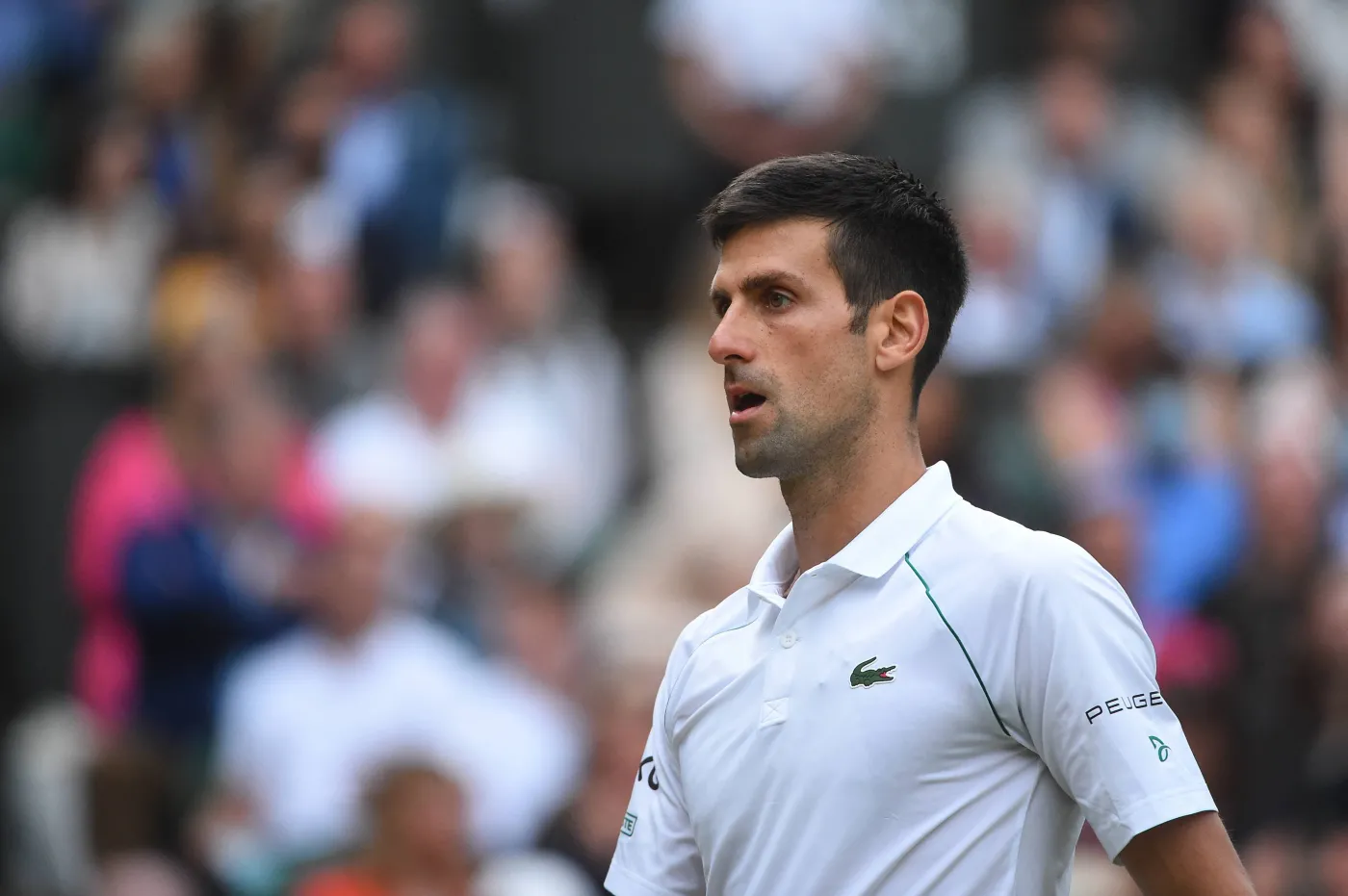 Novak Djoković nie wystartuje w turnieju ATP w Toronto