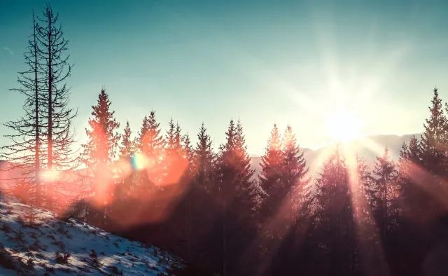 Będzie słonecznie. Najmroźniej na północnym wschodzie [PROGNOZA POGODY]