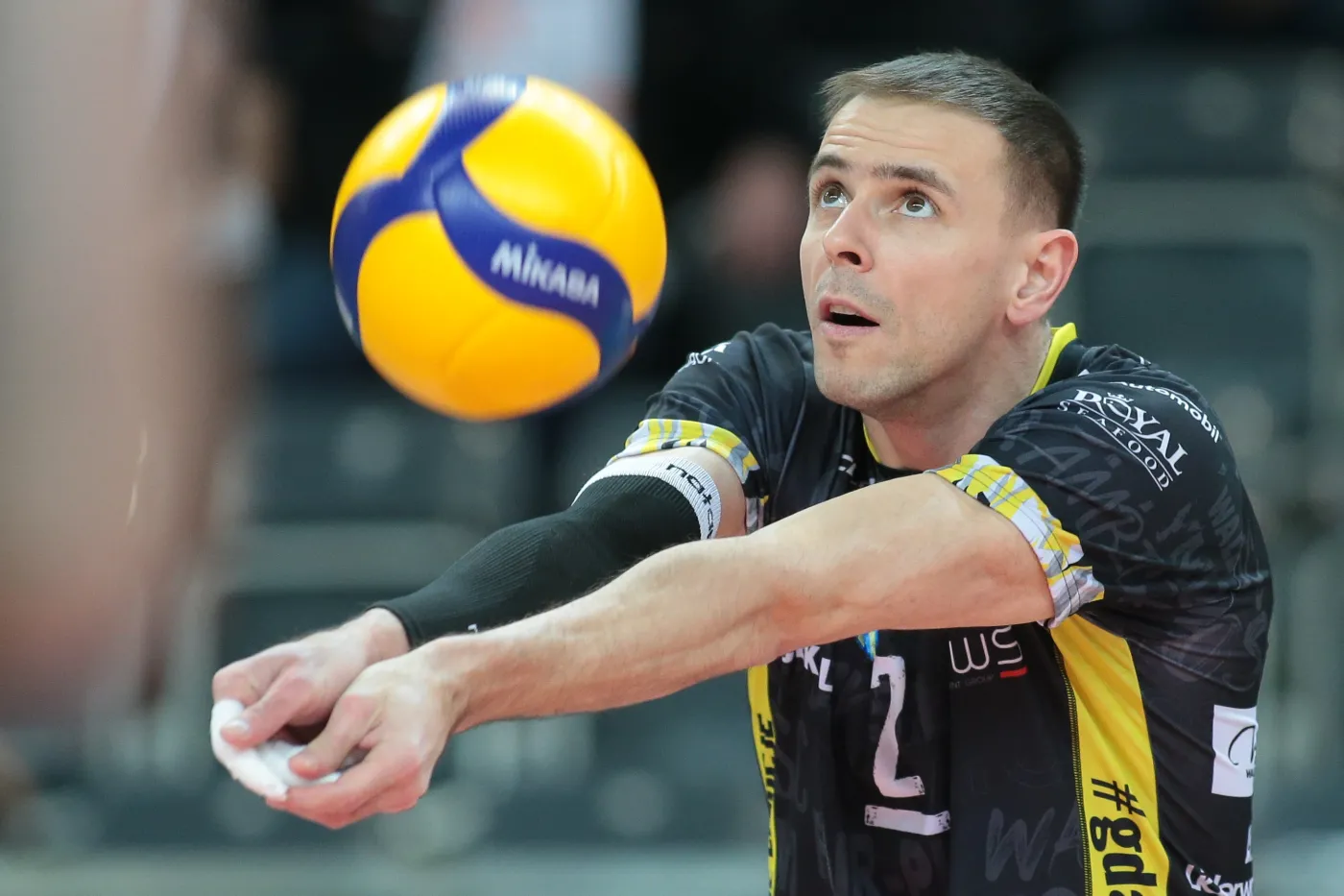 Bełcik i Wlazły najlepsi w 20-leciu Polskiej Ligi Siatkówki