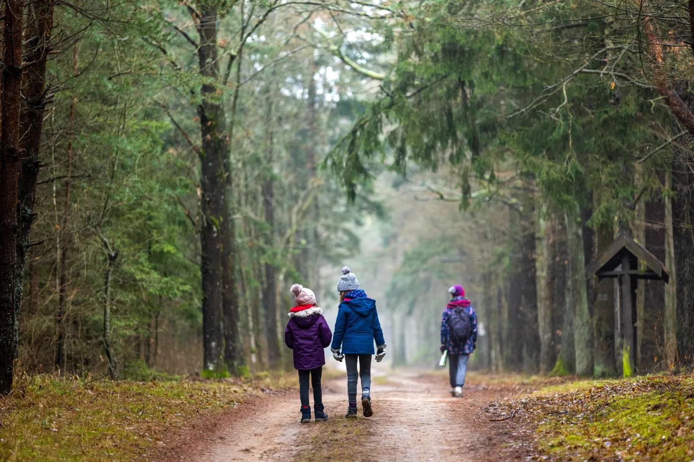Wicemarszałek Sejmu: Polacy muszą się dowiedzieć, że warto tu przyjeżdżać