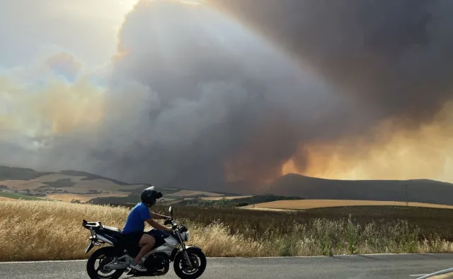 Duże pożary w Hiszpanii. Spłonęło ponad 11 tys. hektarów lasów