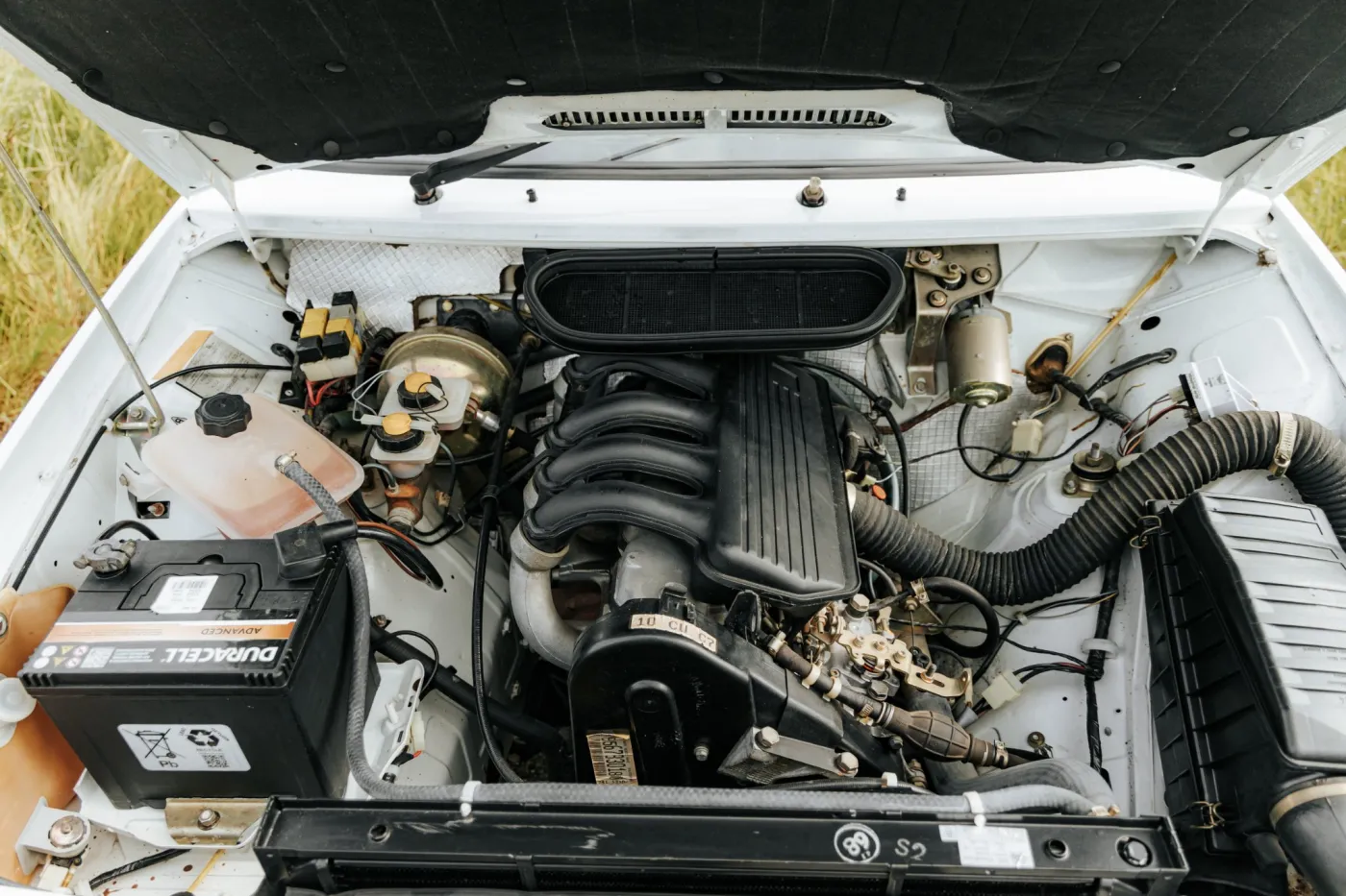 polonez-z-cypru-37489371.jpg