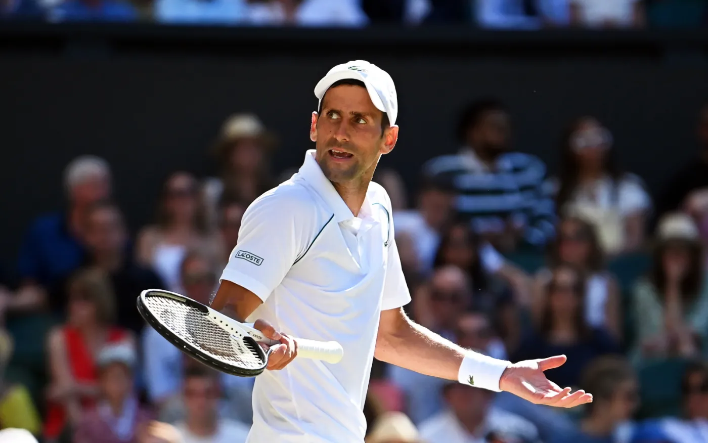 Nietypowa umowa Djokovica i Kyrgiosa. "Chodźmy i zaszalejmy"