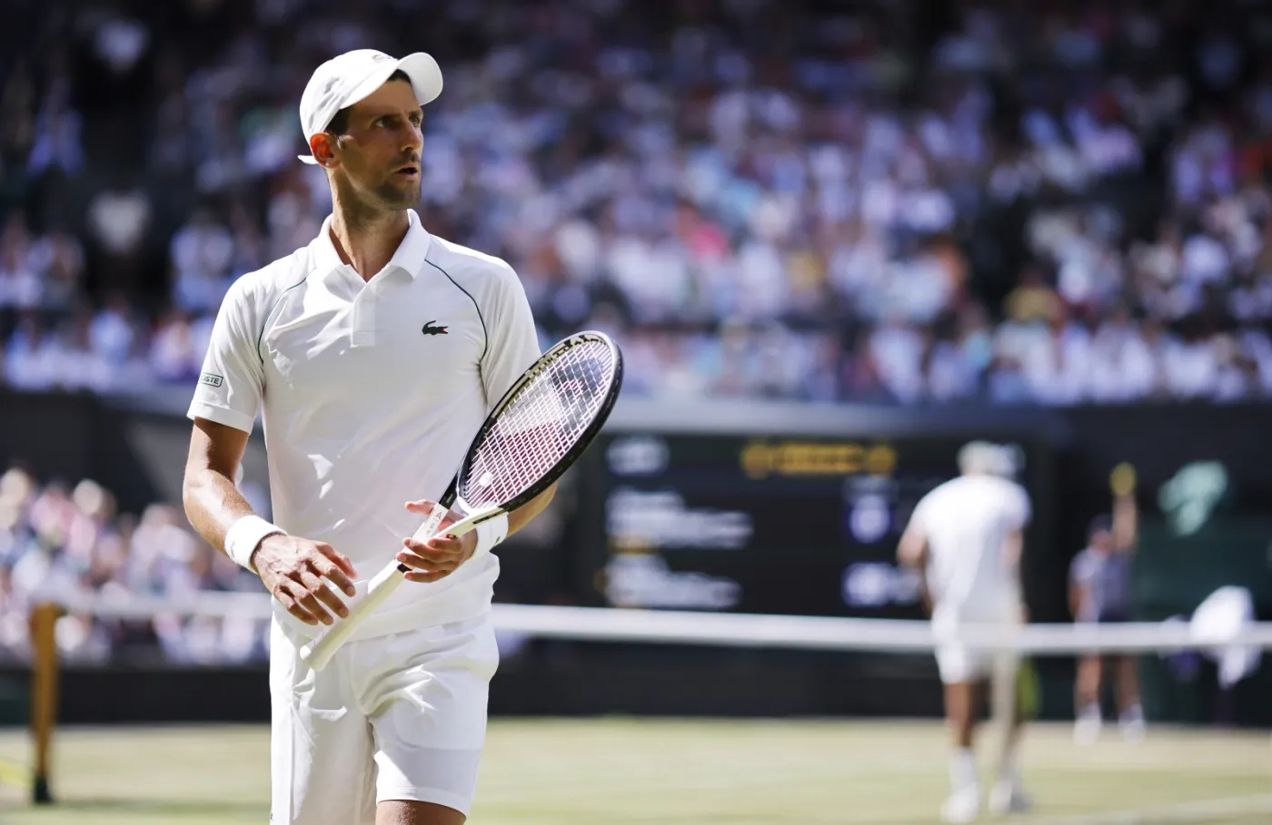Novak Djokovic wygrał Wimbledon i... spadł w rankingu ATP