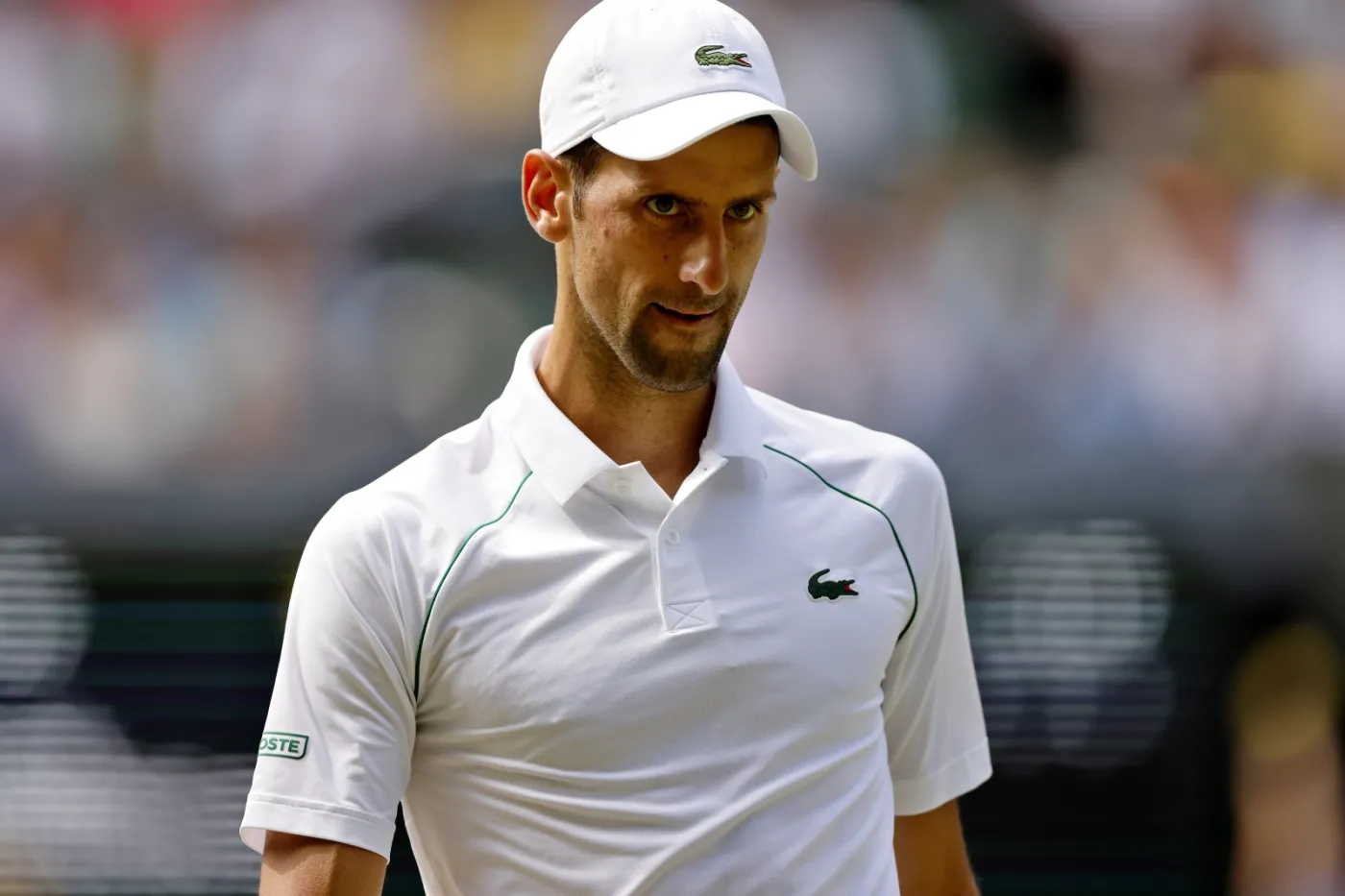 "Nadzieja umiera ostatnia". Djokovic o szansach na występ w US Open