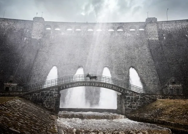 Jest zwiastun "IO" - nagrodzonego w Cannes filmu Jerzego Skolimowskiego