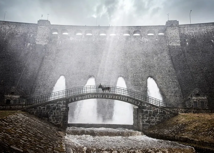 Polskie kino w Nowym Jorku: "IO", "Roving Woman" oraz "Syndrom Hamleta"