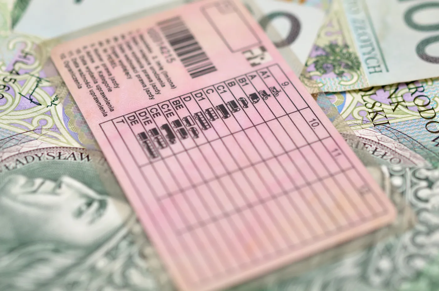 Szybki kurs na prawo jazdy okazał się oszustwem. Zapłaciła 30 tys. zł i została bez dokumentu