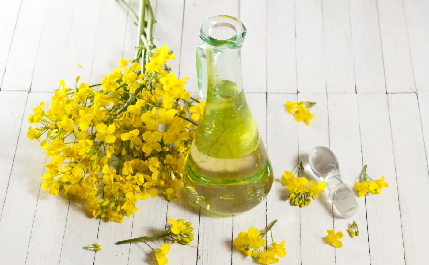 Może chronić serce: olej rzepakowy. ZALETY