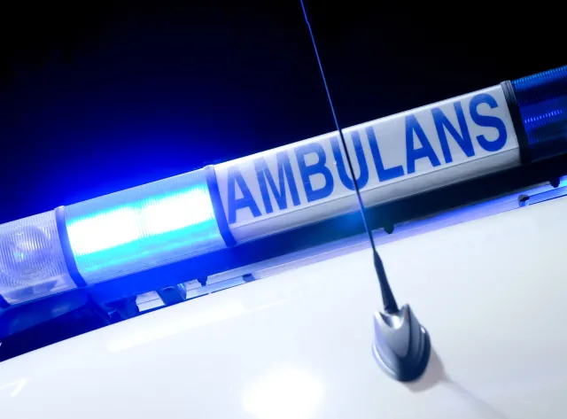 Pies pogryzł 5-letniego chłopca oraz jego matkę. Dziecko z ciężkimi ranami twarzy i głowy trafiło do szpitala