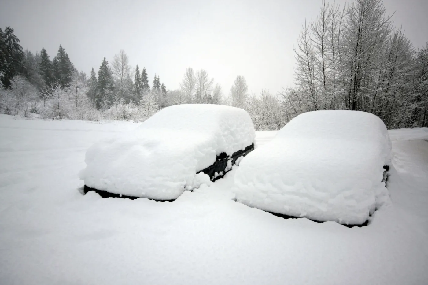 Szyba zamarzła od środka? Zobacz, jak usunąć problem. To proste!
