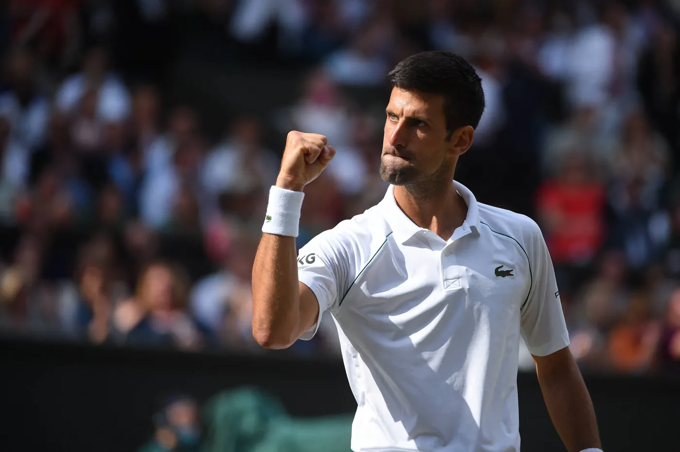 Turniej ATP w Adelajdzie. Djokovic i Miedwiediew spotkają się w półfinale
