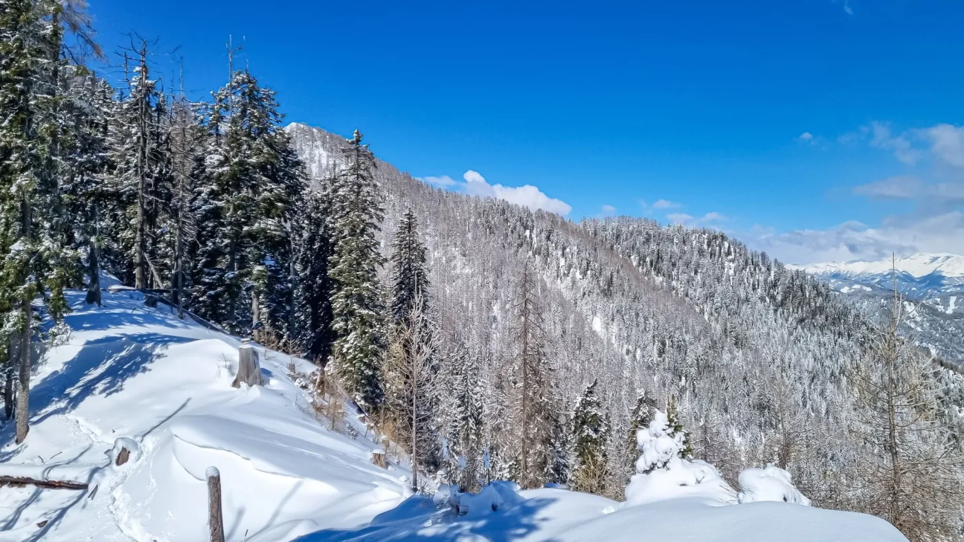 Ski,Tour,Trail,Leading,To,Kobesnock,In,Bad,Bleiberg,,Carinthia,