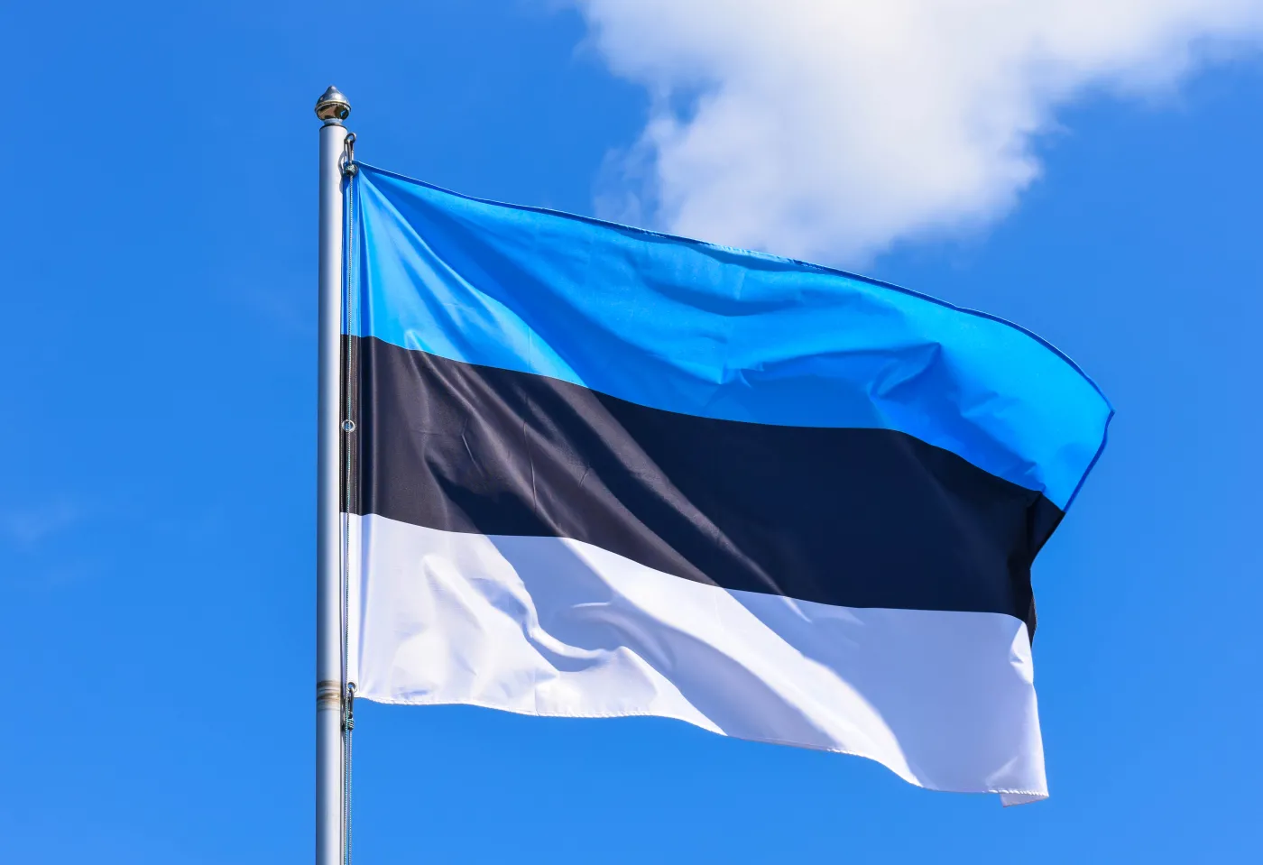 Estonia flaga