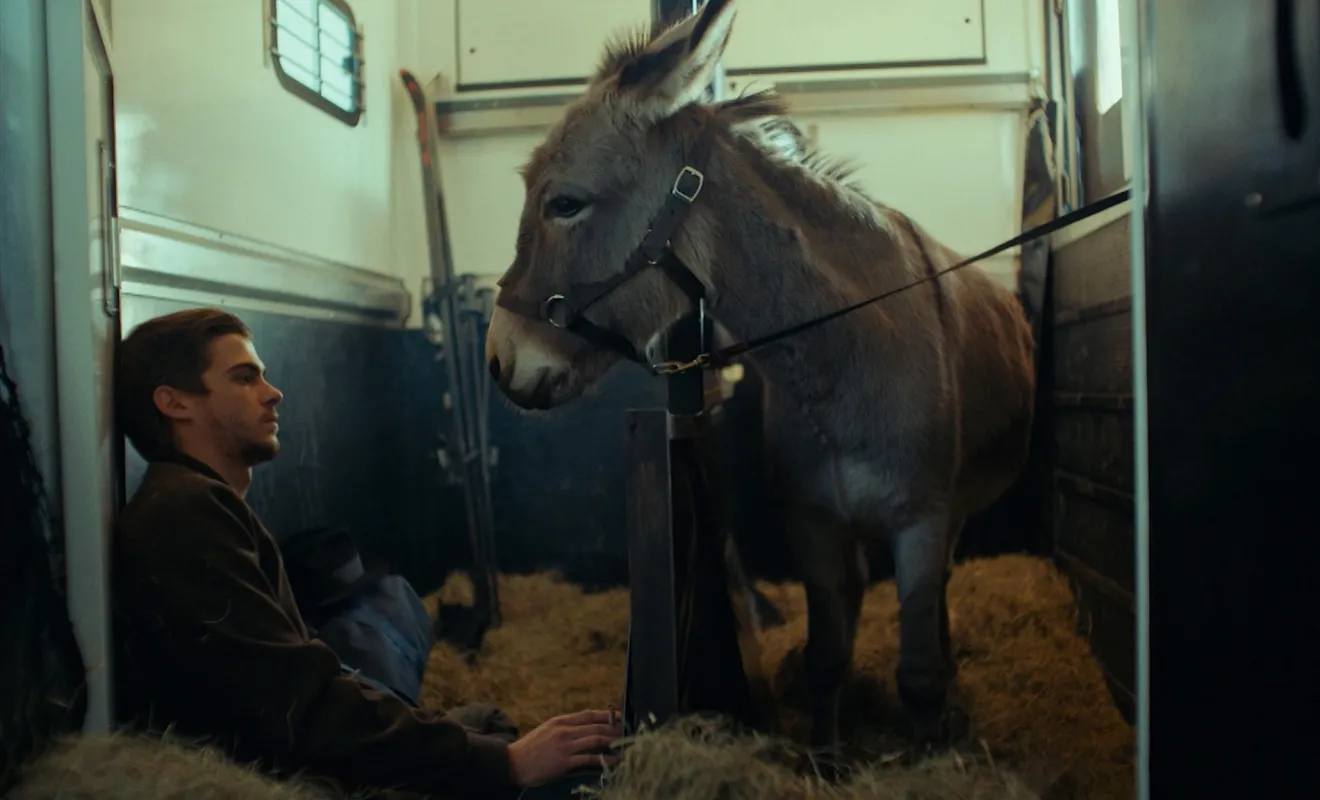 "IO" Jerzego Skolimowskiego z nominacją do Cezara dla najlepszego filmu zagranicznego