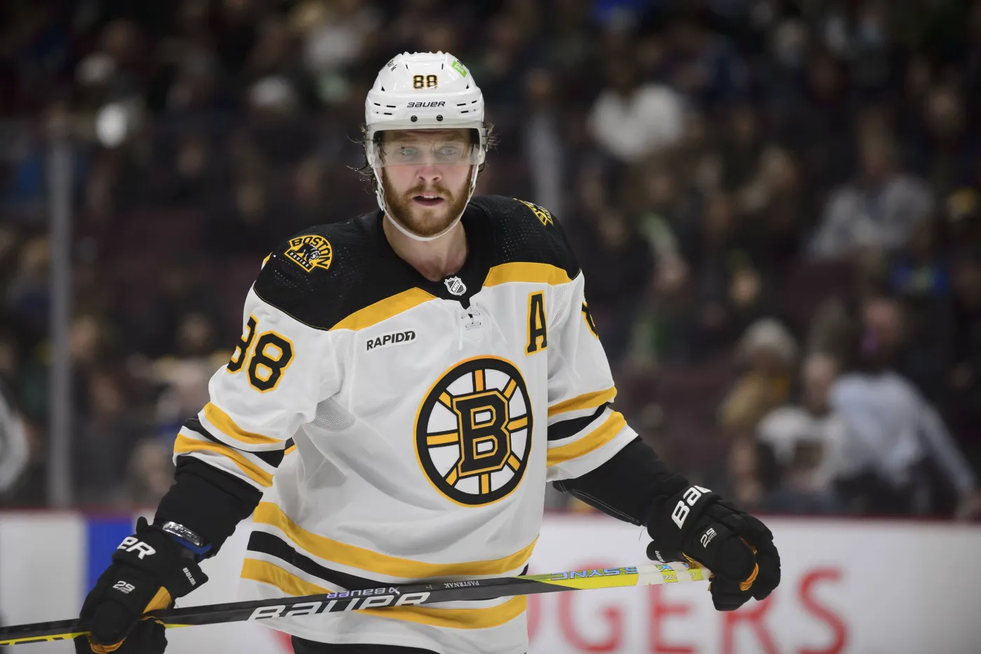David Pastrnak i Brayden Point z rekordami goli w sezonie