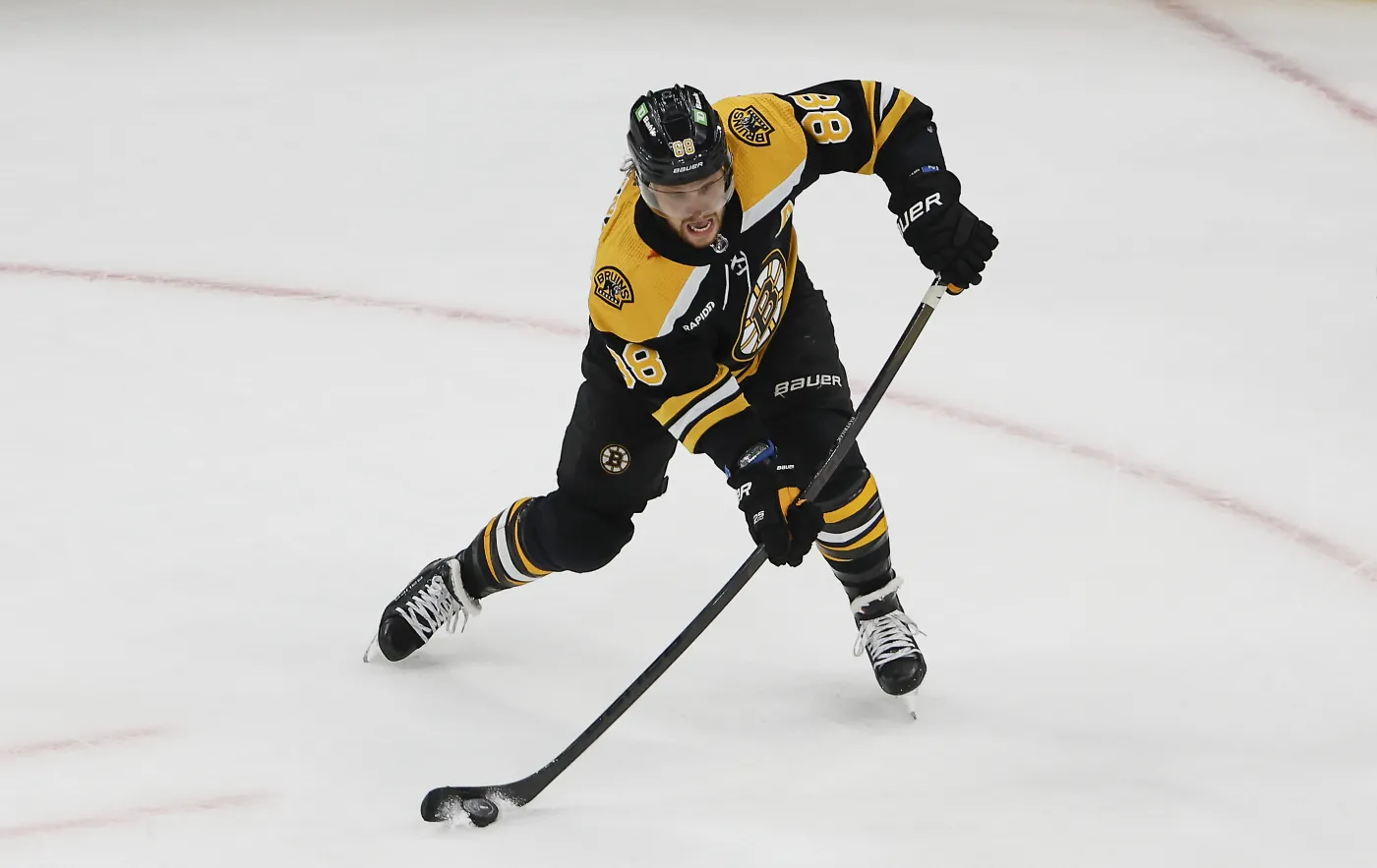 David Pastrnak