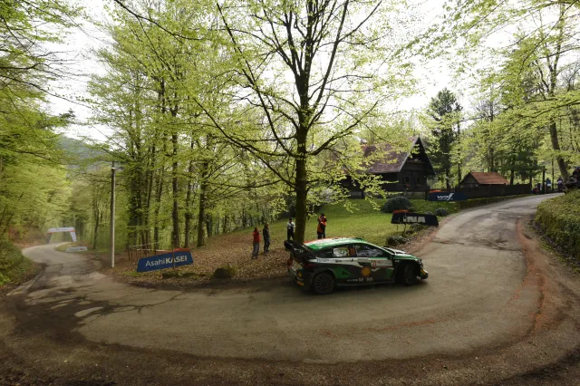 Thierry Neuville rozbił się w Chorwacji. Wypadł z drogi i uderzył w drzewo