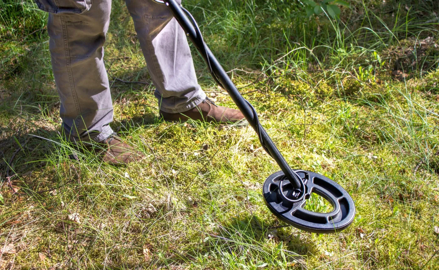 Sensacyjne znalezisko w polskim lesie. "Zabytek ma ok. 3,5 tys. lat"